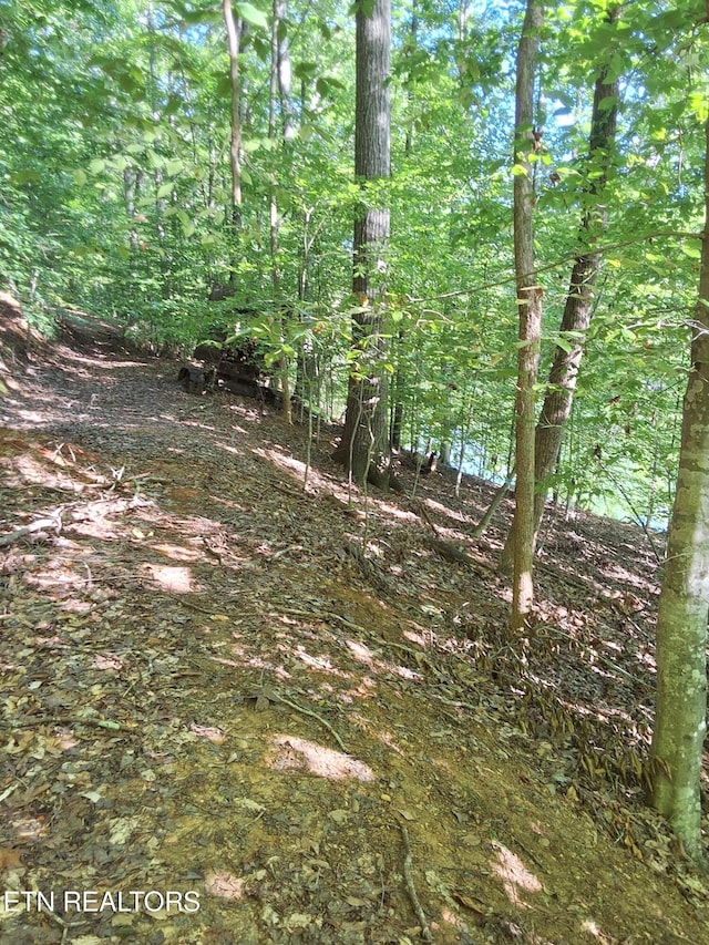 Old Chisholm Trl, Dandridge, TN 37725 - photo 14