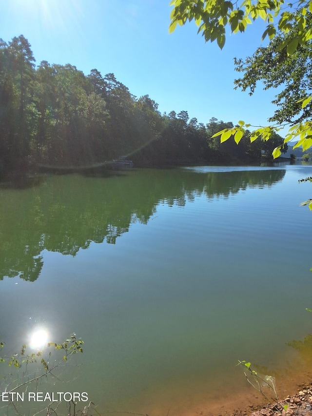 Old Chisholm Trl, Dandridge, TN 37725 - photo 16
