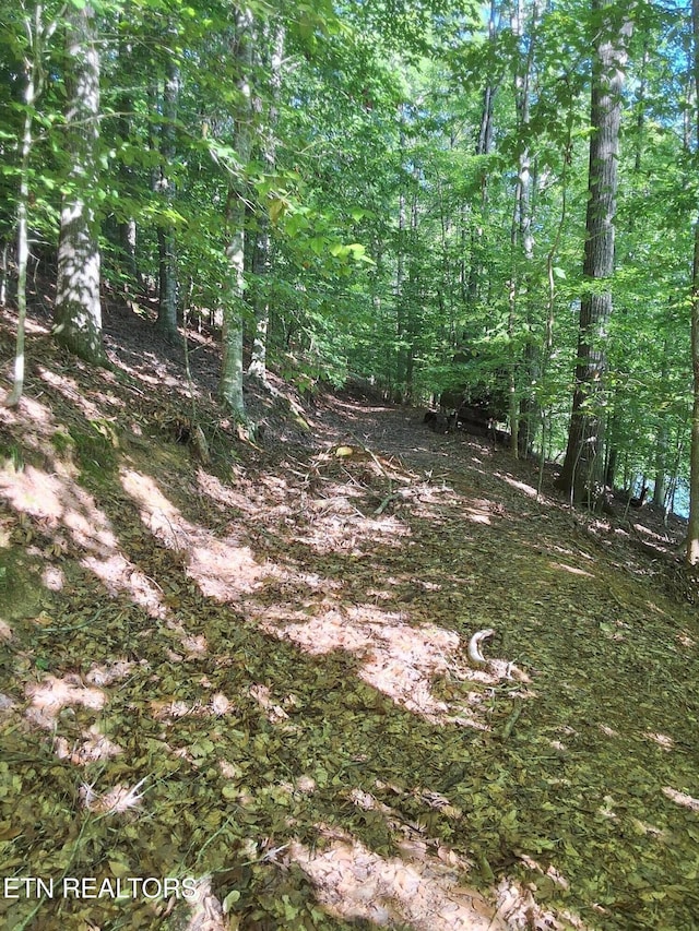 Old Chisholm Trl, Dandridge, TN 37725 - photo 11