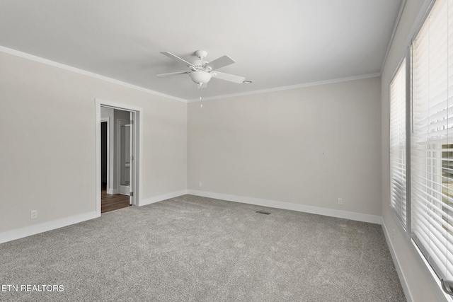294 Sable Rd, Spring City, TN 37381 - photo 22