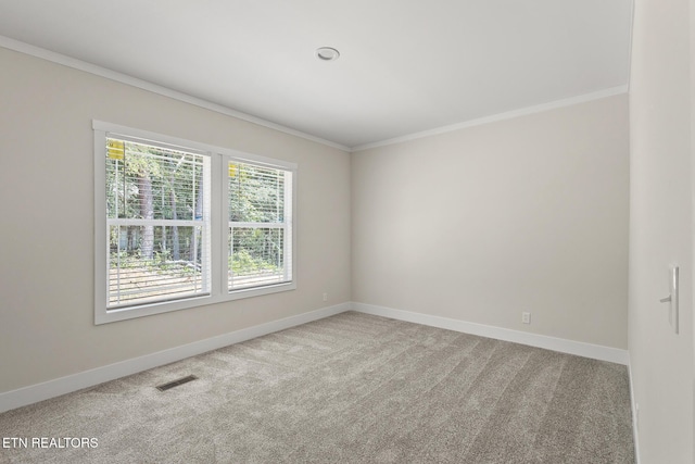 294 Sable Rd, Spring City, TN 37381 - photo 32