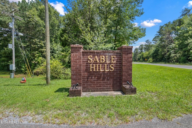 294 Sable Rd, Spring City, TN 37381 - photo 4