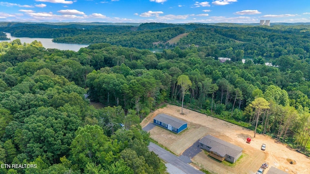 294 Sable Rd, Spring City, TN 37381 - photo 3