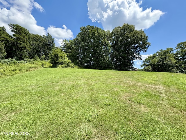844 Jim Pressnell Rd, Tazewell, TN 37879 - photo 6