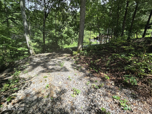 256 Siever Rd, Crossville, TN 38572 - photo 22