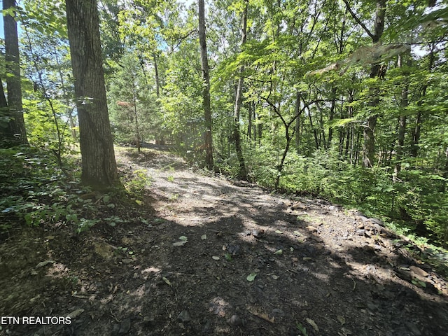 256 Siever Rd, Crossville, TN 38572 - photo 23