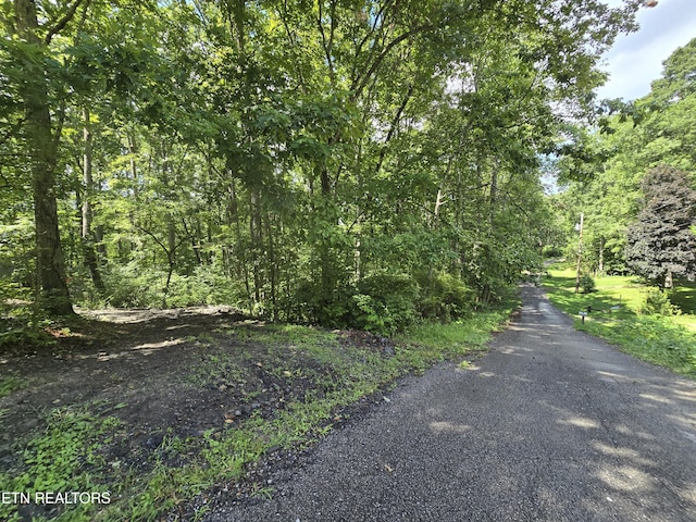 256 Siever Rd, Crossville, TN 38572 - photo 25