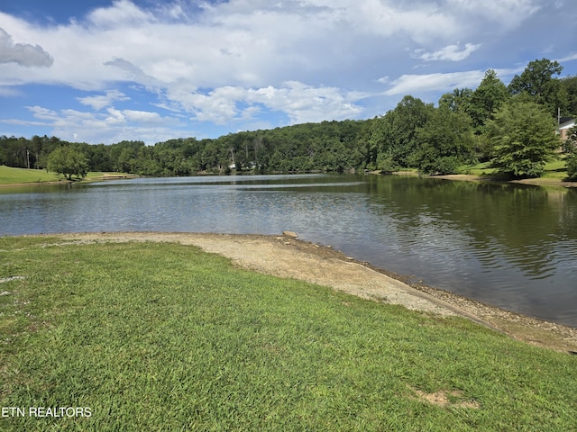 256 Siever Rd, Crossville, TN 38572 - photo 32