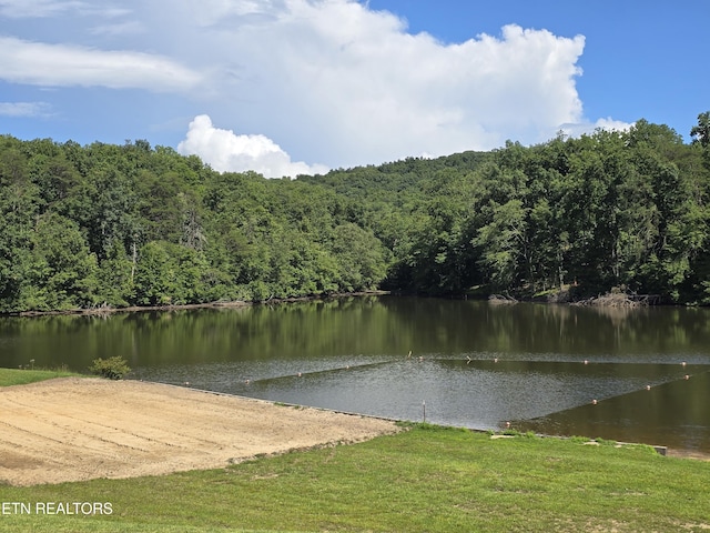 256 Siever Rd, Crossville, TN 38572 - photo 34