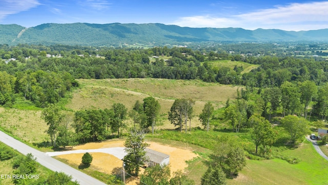 721 Davis Chapel Rd, Lafollette, TN 37766 - photo 34
