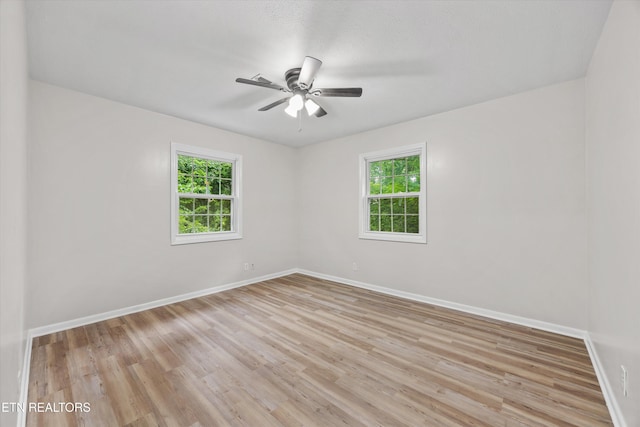 11332 Sonja Dr, Knoxville, TN 37934 - photo 13