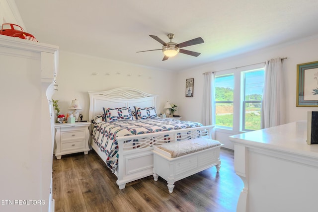 807 Gists Creek Rd, Sevierville, TN 37876 - photo 22