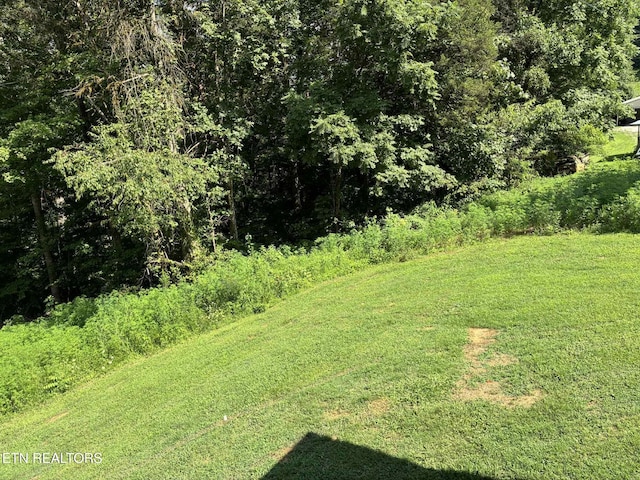 142 Mcnerling Ln, Sharps Chapel, TN 37866 - photo 5