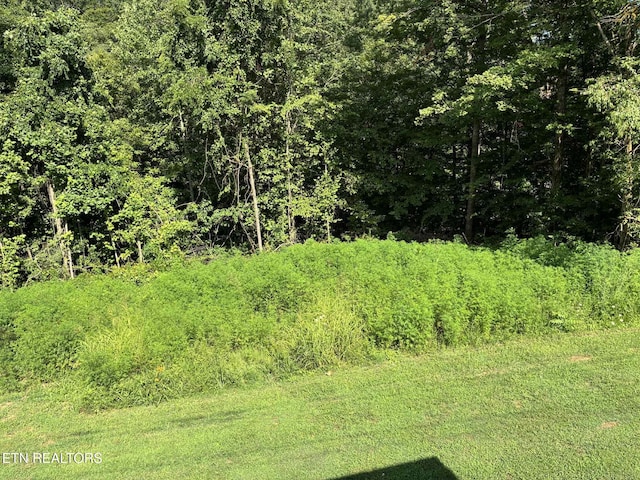 142 Mcnerling Ln, Sharps Chapel, TN 37866 - photo 6