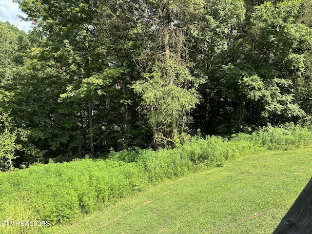 142 Mcnerling Ln, Sharps Chapel, TN 37866 - photo 8