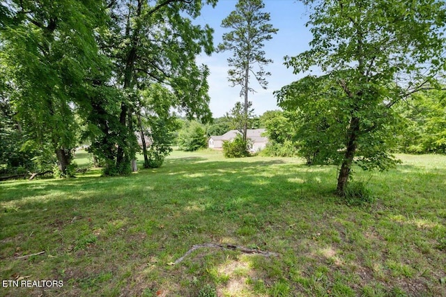 2025 N Charles G Seivers Blvd, Clinton, TN 37716 - photo 2