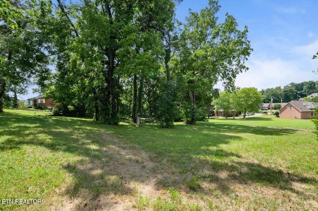 2025 N Charles G Seivers Blvd, Clinton, TN 37716 - photo 3