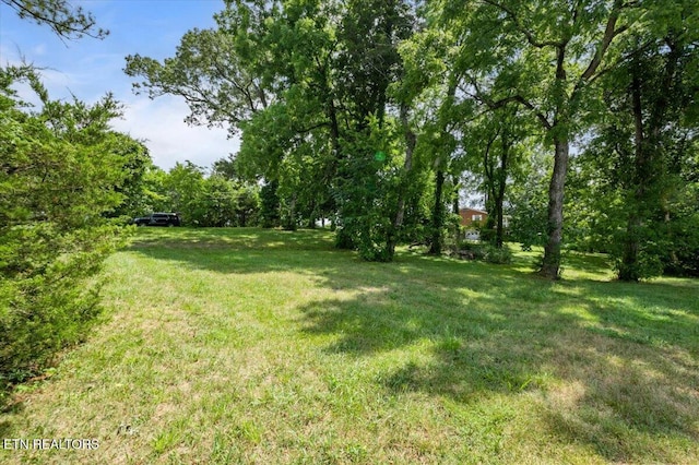 2025 N Charles G Seivers Blvd, Clinton, TN 37716 - photo 4