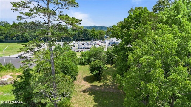 2025 N Charles G Seivers Blvd, Clinton, TN 37716 - photo 14