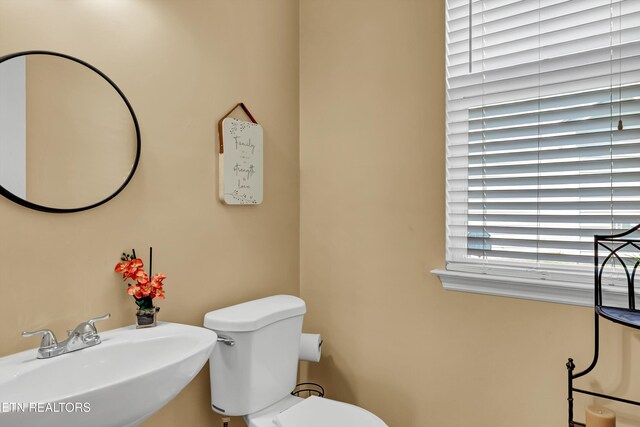 6209 Daniels Branch Ln, Knoxville, TN 37924 - photo 13