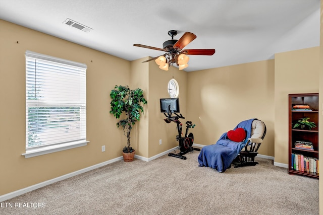 6209 Daniels Branch Ln, Knoxville, TN 37924 - photo 15