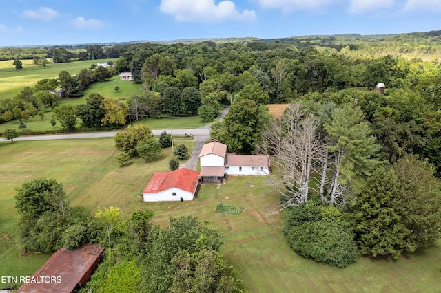556 County Road 249, Athens, TN 37303 - photo 6
