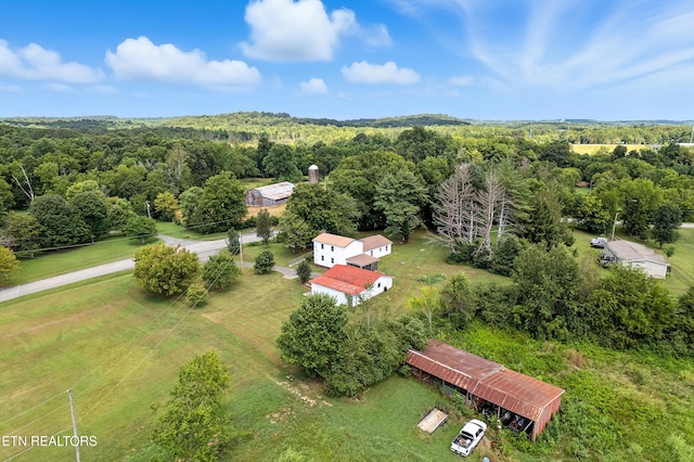 556 County Road 249, Athens, TN 37303 - photo 8