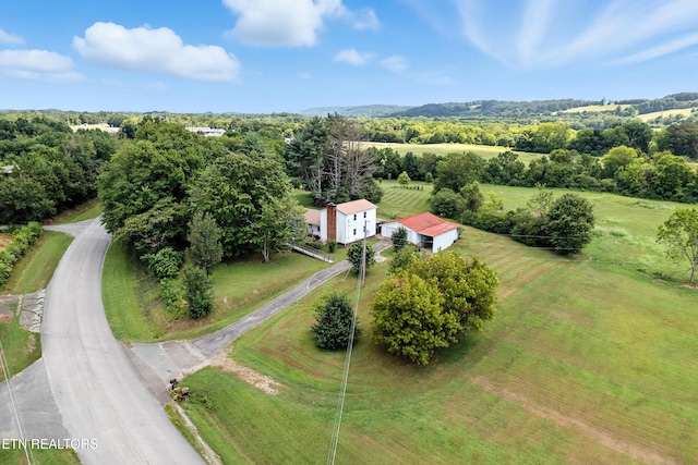 556 County Road 249, Athens, TN 37303 - photo 9