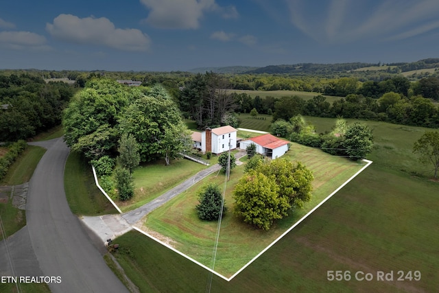 556 County Road 249, Athens, TN 37303 - photo 11