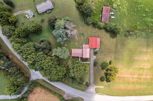 556 County Road 249, Athens, TN 37303 - photo 7