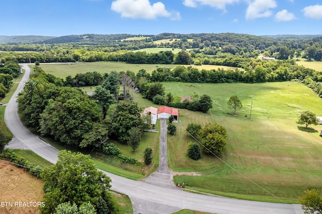 556 County Road 249, Athens, TN 37303 - photo 40