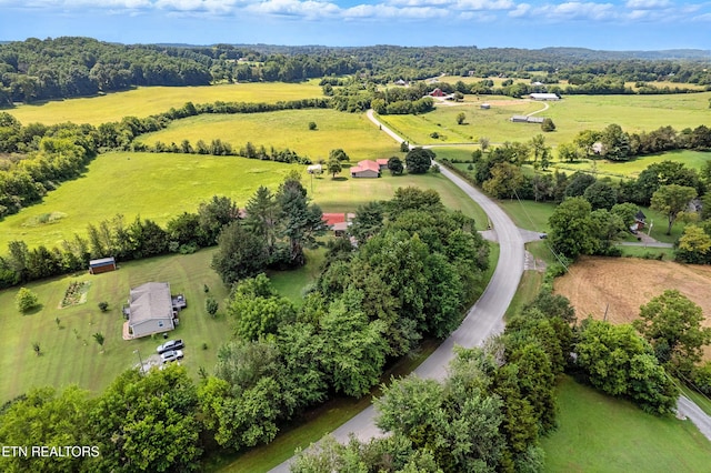 556 County Road 249, Athens, TN 37303 - photo 39