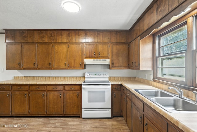 556 County Road 249, Athens, TN 37303 - photo 20