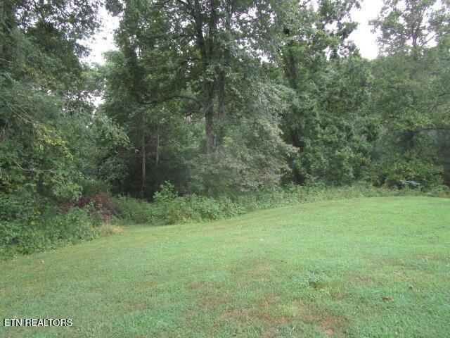 391 Smokey Rd, Rutledge, TN 37861 - photo 3