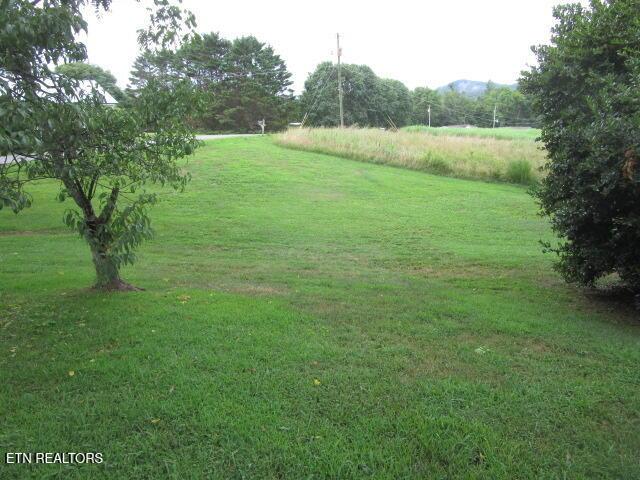 391 Smokey Rd, Rutledge, TN 37861 - photo 20