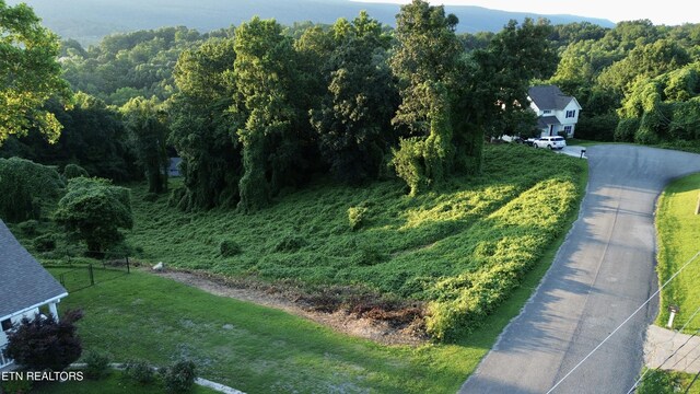 LOT58 Matthew Ln, Dayton, TN 37321 - photo 5