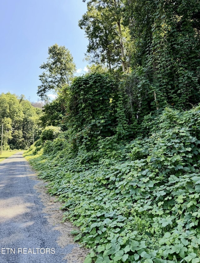 0 Lake Heights Rd, Tellico Plains, TN 37385 - photo 2