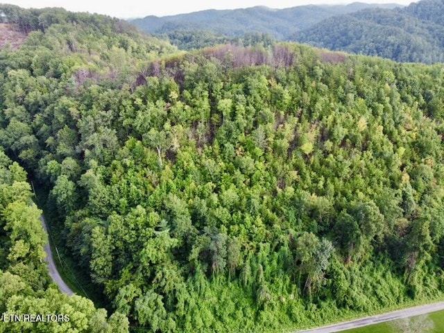 0 Lake Heights Rd, Tellico Plains, TN 37385 - photo 1