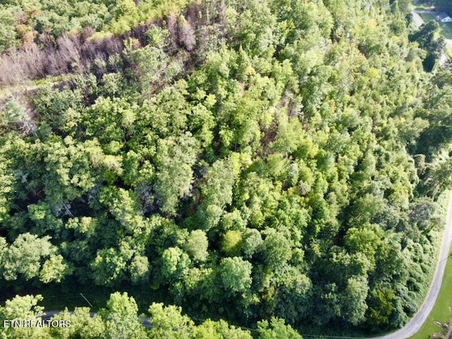0 Lake Heights Rd, Tellico Plains, TN 37385 - photo 4