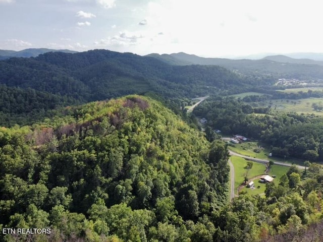 0 Lake Heights Rd, Tellico Plains, TN 37385 - photo 5