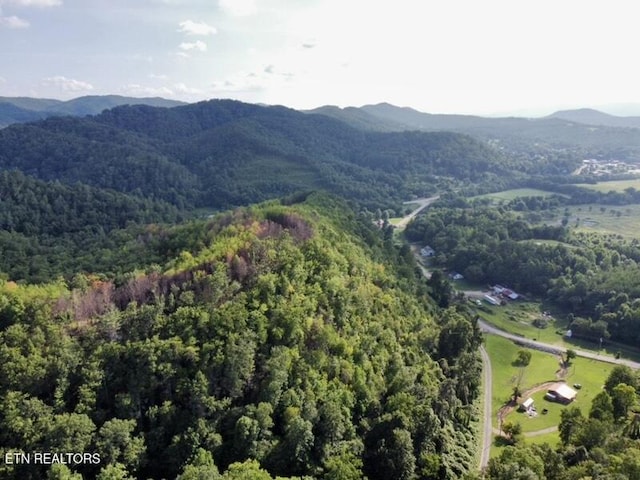 0 Lake Heights Rd, Tellico Plains, TN 37385 - photo 6