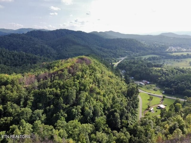 0 Lake Heights Rd, Tellico Plains, TN 37385 - photo 10