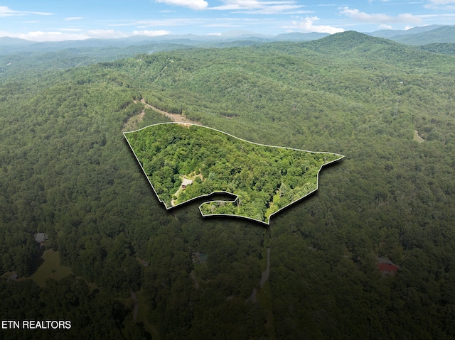 186 Caney Creek Rd, Reliance, TN 37369 - photo 46