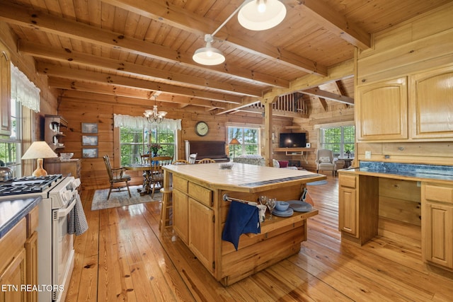 186 Caney Creek Rd, Reliance, TN 37369 - photo 7