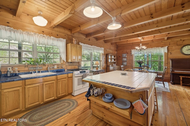 186 Caney Creek Rd, Reliance, TN 37369 - photo 8