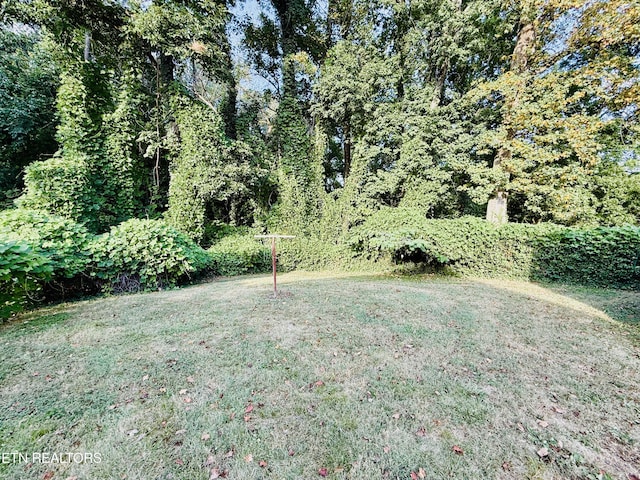 211 Wadsworth Pl, Oak Ridge, TN 37830 - photo 22