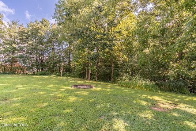 815 Alder Branch Rd, Sevierville, TN 37876 - photo 23