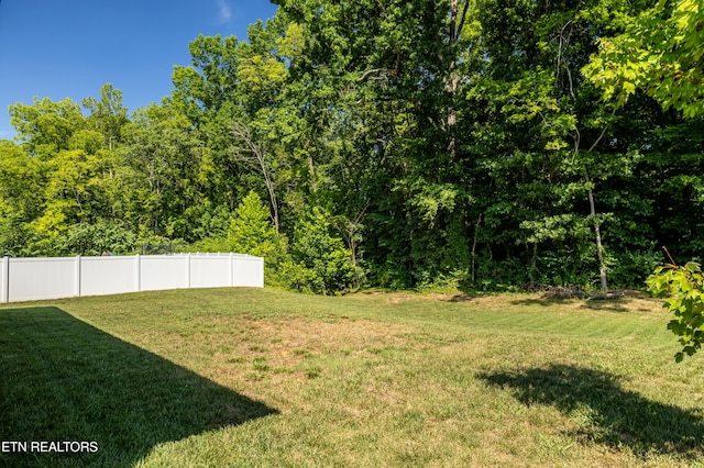1706 Wilkinson Pike, Maryville, TN 37803 - photo 4