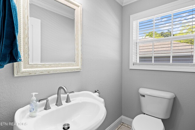 1706 Wilkinson Pike, Maryville, TN 37803 - photo 20