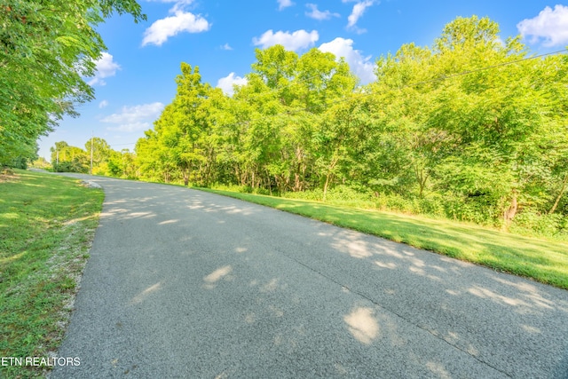 LOT3 Shanghai Landing Ln, Lafollette, TN 37766 - photo 2